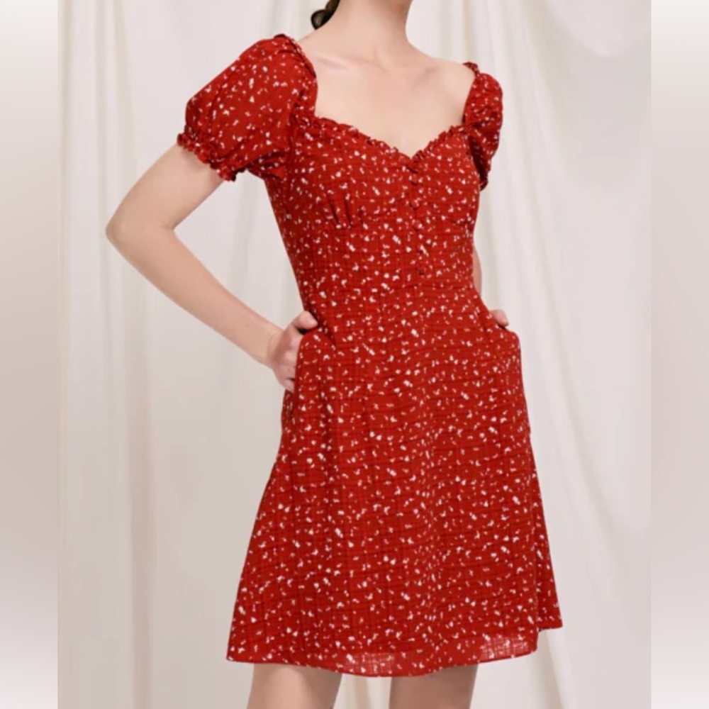 Petite studio red print
